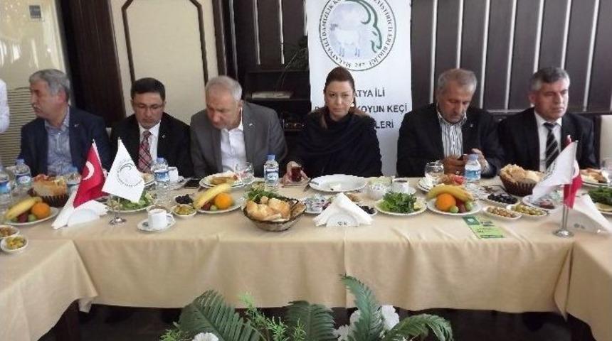 Yetiştiricilerin Sorunları Masaya Yatırıldı