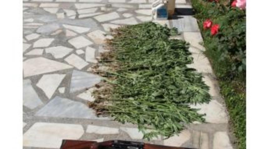 Jandarma Uyuşturucuya Ge&ccedil;it Vermiyor