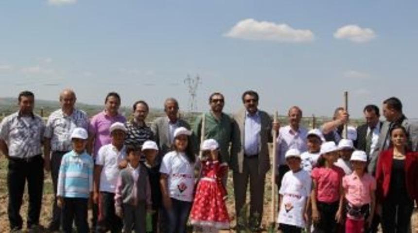 Cihanbeyli&rsquo;de 2 Bin Ağa&ccedil; Dikildi