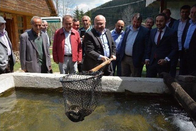 Ak Parti’li Şener, Seçim Çalışmalarını Sürdürdü