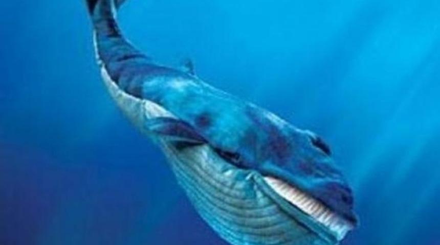 Dünyanın en garip bilgileri