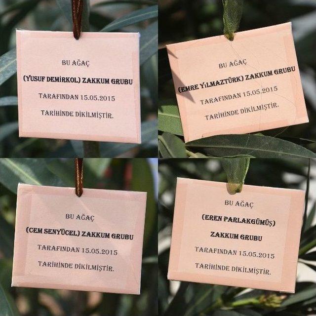 Zakkum Grubu, Expo 2016 Alanına &ldquo;zakkum&rdquo; Dikti 3