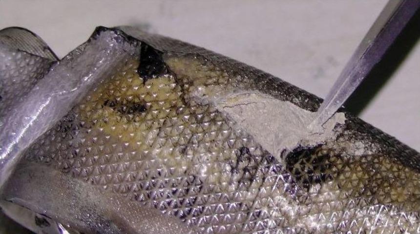 Edirne&rsquo;de Uyuşturucu Tacirlerine B&uuml;y&uuml;k Darbe