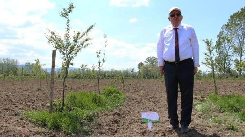 T&uuml;rkiye&rsquo;de İlk &ldquo;bebek Meyve Bah&ccedil;esi&rdquo; B&uuml;y&uuml;yor