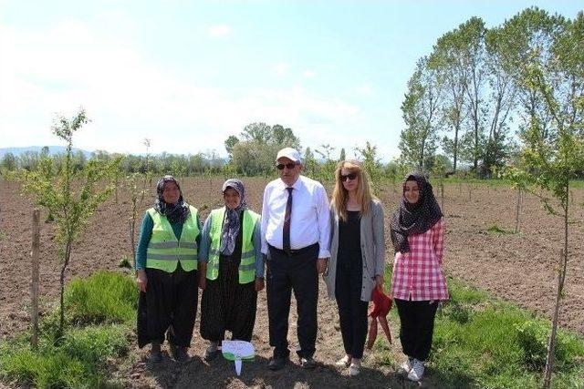 T&uuml;rkiye&rsquo;de İlk &ldquo;bebek Meyve Bah&ccedil;esi&rdquo; B&uuml;y&uuml;yor 2