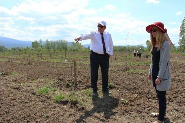 T&uuml;rkiye&rsquo;de İlk &ldquo;bebek Meyve Bah&ccedil;esi&rdquo; B&uuml;y&uuml;yor 3