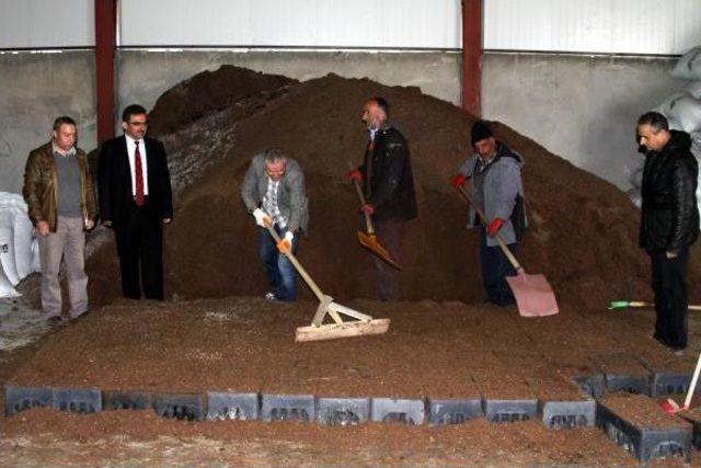 Erzurum da Seralarda Tohumdan 14 Milyon Fidan &Uuml;retilecek 1