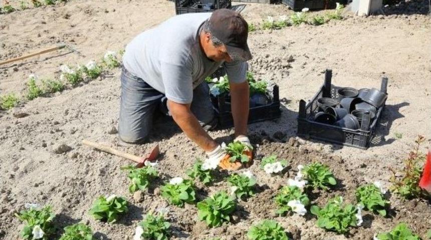 75 Bin &Ccedil;i&ccedil;ek Buca&rsquo;ya Renk Kattı