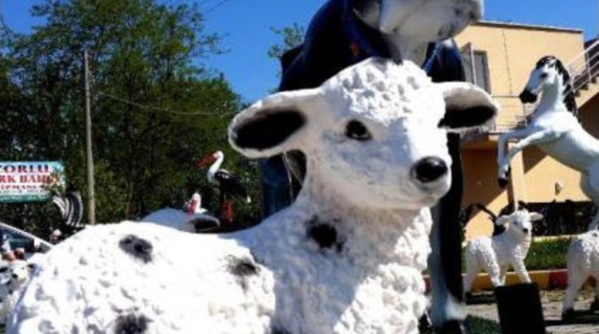 Hobi Olarak Başladı, Işi Oldu