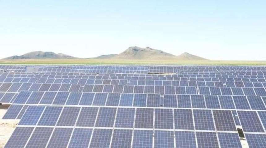 Konya Ovası'nda, G&uuml;neş Tarlası