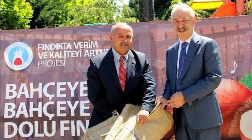 Fındıkta Tek Dal Sistemli Bah&ccedil;elerin Yaygınlaşması İ&ccedil;in &Ccedil;alışılıyor