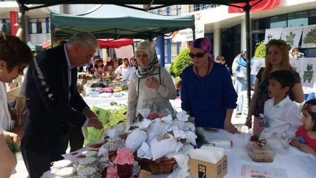 Chp Milletvekili Adayları Düzce Otları Festivalinde Stantları Gezdi