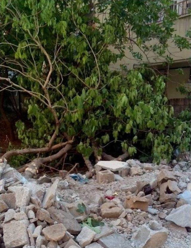 Siirt&rsquo;te Ağa&ccedil; Kesilmesine Tepki 2