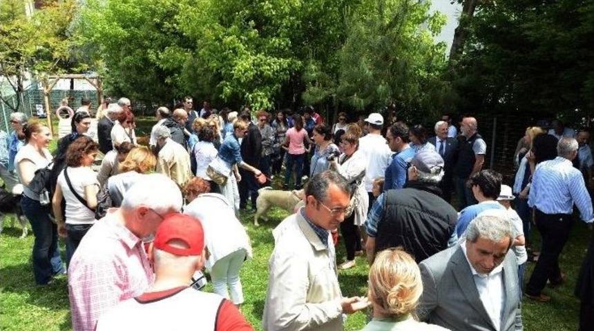 Pati Park&rsquo;a Hayvansever Akını