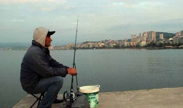 Fatsa’da Hobi Balıkçılarının Yüzü Gülüyor