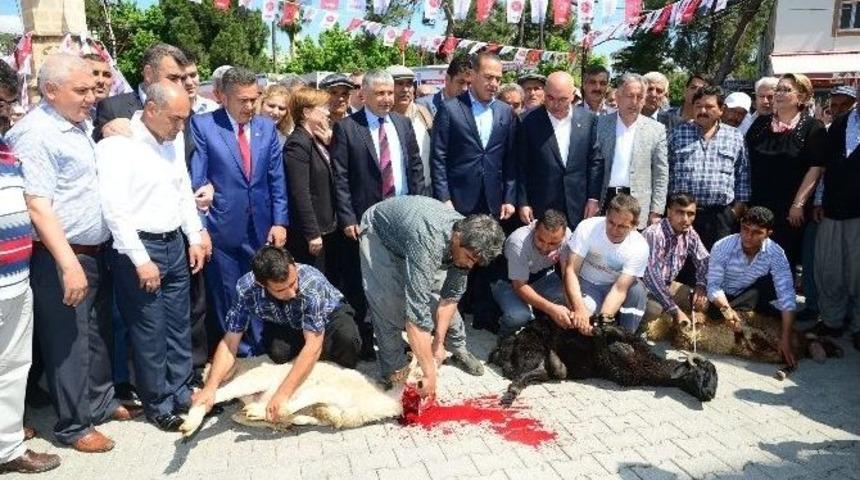 Karaisalı&rsquo;da Mhp Coşkusu