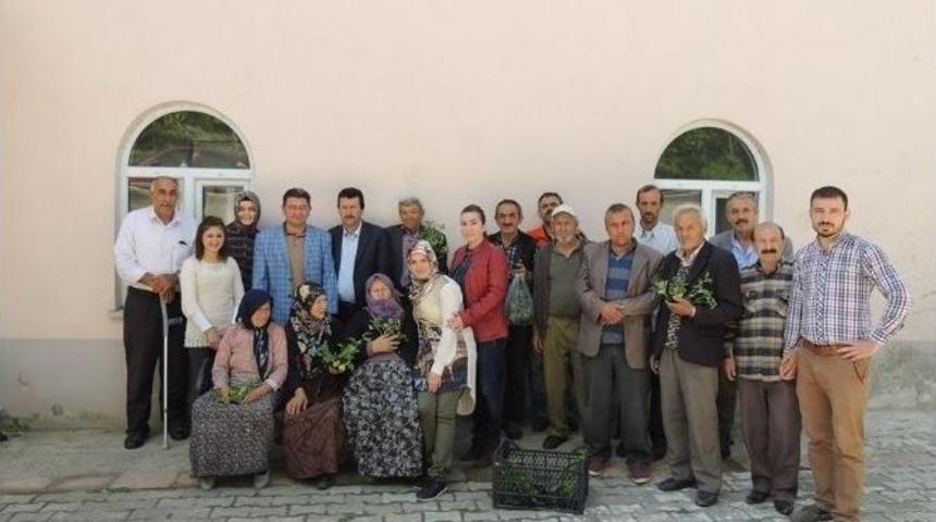 Fındık &Uuml;reticileri Bilgilendiriliyor