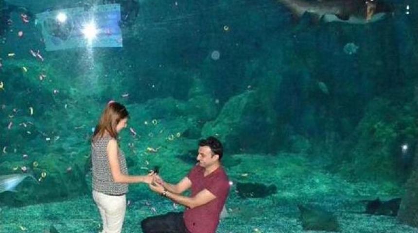 Dev Akvaryumda Evlilik Teklifi
