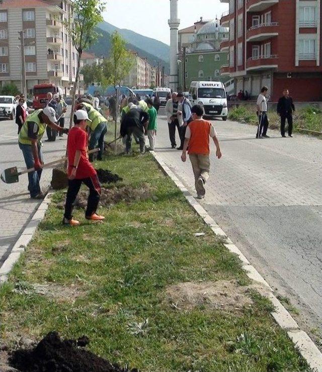 Akşehr Belediyesi’nden Ağaç Dikme Etkinilği