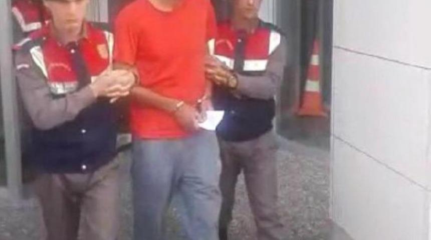 Jandarmadan "g&uuml;vercin" Operasyonu