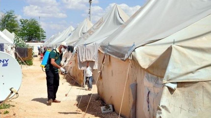 &Ccedil;adır Kent Zararlı B&ouml;ceklere Karşı İla&ccedil;lanıyor