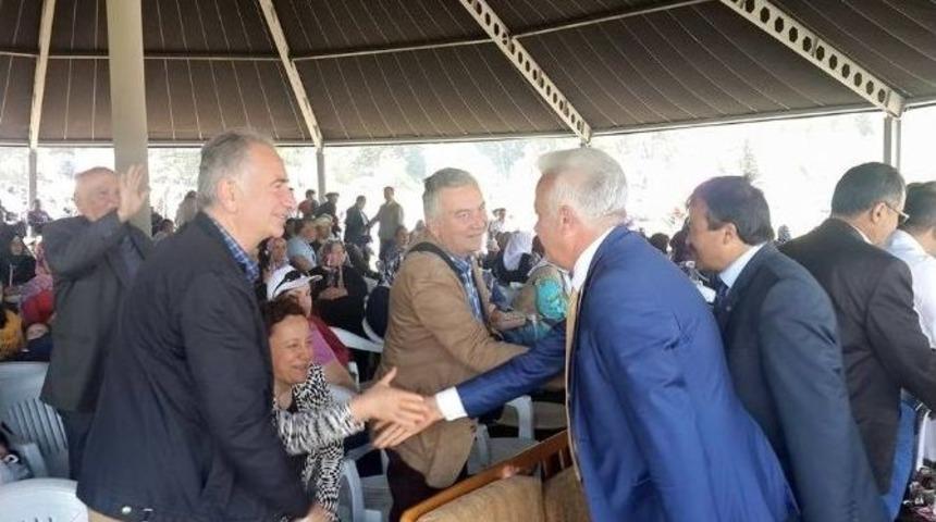 Hayati Hamzaoğlu, Se&ccedil;im &Ccedil;alışmalarını S&uuml;rd&uuml;rd&uuml;