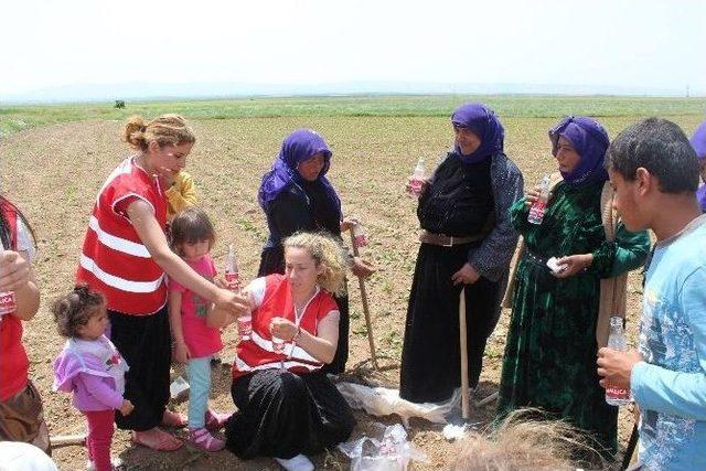 Eskişehir Kızılay Şubesi’nin Çiftçiler Günü Kutlaması