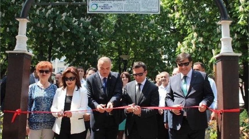 Ordu&rsquo;da M&uuml;ze Haftası Sergisi