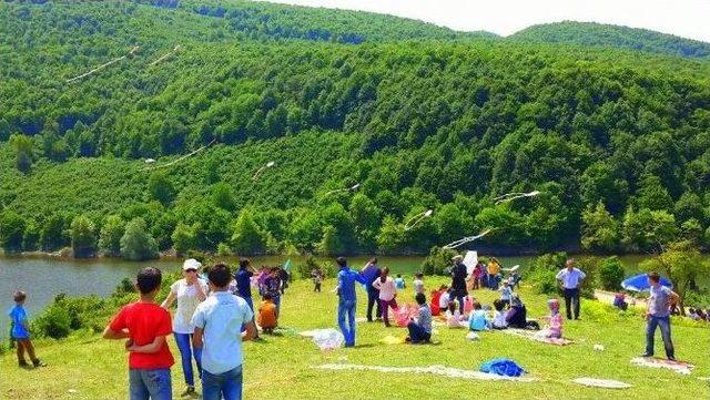 Yığılca Uçurtma Etkinliği Renkli Görüntüler Oluşturdu