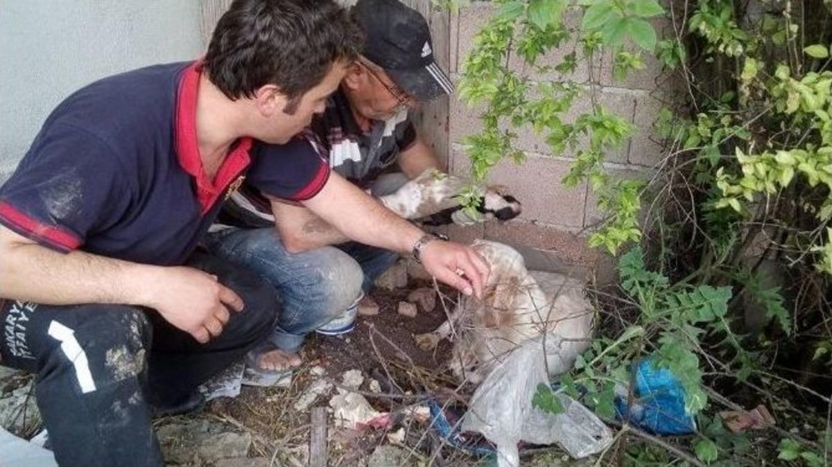 İtfaiye Ekipleri Sondaj Kuyusuna D&uuml;şen Yavru K&ouml;pekleri Kurtardı