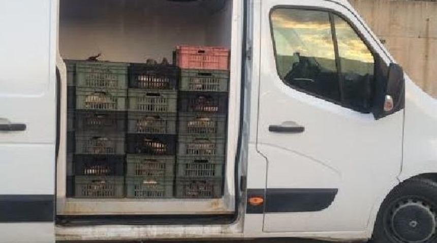 Ka&ccedil;ak Avlanan Balıklara El Konuldu