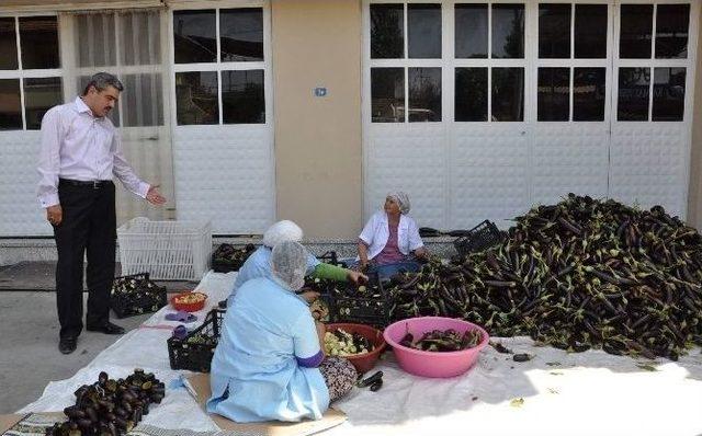 Patlıcan Oymacılığı Esnafın Da İşlerini Hareketlendirdi