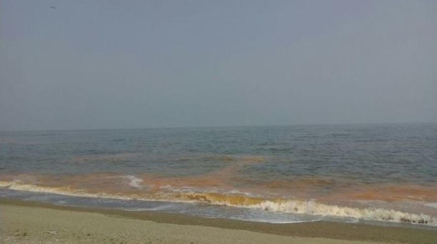 Bu Sefer Karacabey Sahili Kızıla Boyandı