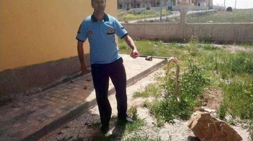 İtfaiyeden Yılan Operasyonu