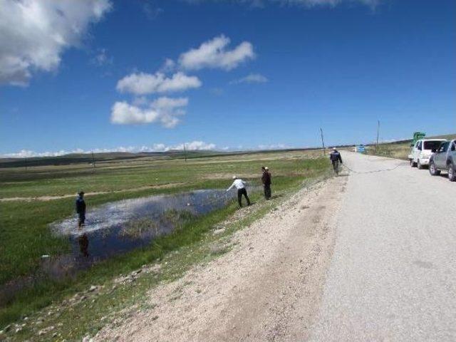 Van'da Sivrisineklere Karşı Ilaçlama