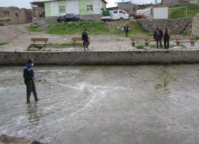 Van'da Sivrisineklere Karşı Ilaçlama