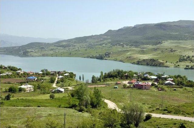 Tunceli’de Vatandaşların Üzerine Ateş Açıldığı İddia Edildi