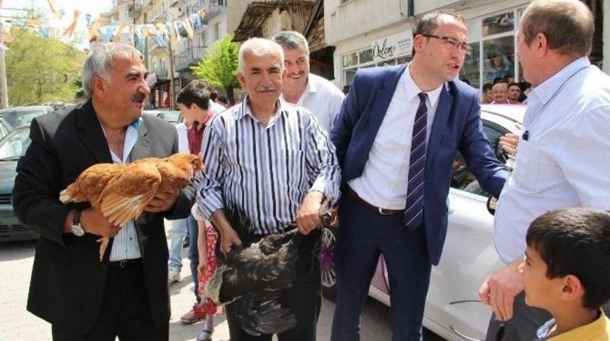 Gelin Arabasının Şof&ouml;r&uuml;, Damattan Tavuk Ve Horoz İstedi