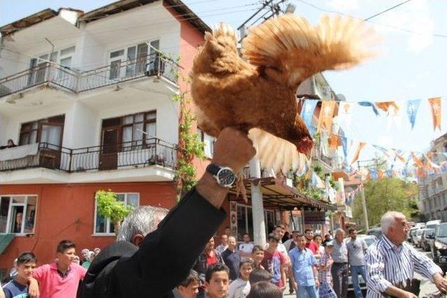 Gelin Arabasının Şoförü, Damattan Tavuk Ve Horoz İstedi