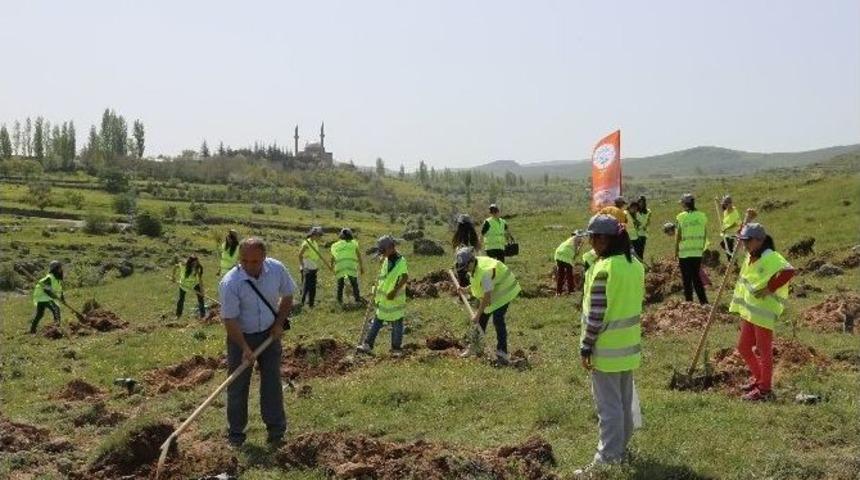 Talas&rsquo;ta Bir Cana 10 Fidan Projesi