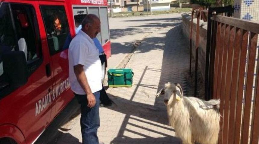 Demir Parmaklıklara Sıkışan Ke&ccedil;iyi Itfaiye Kurtardı