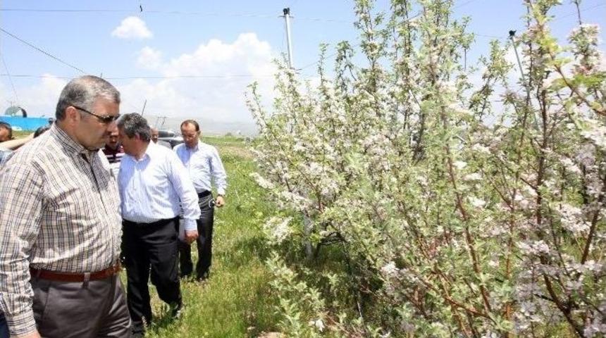 B&uuml;y&uuml;kşehir&rsquo;den Tarımsal Kalkınma Hamlesi