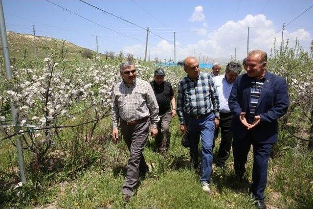 B&uuml;y&uuml;kşehir&rsquo;den Tarımsal Kalkınma Hamlesi 1