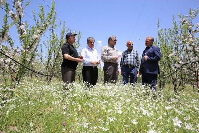 B&uuml;y&uuml;kşehir&rsquo;den Tarımsal Kalkınma Hamlesi 2