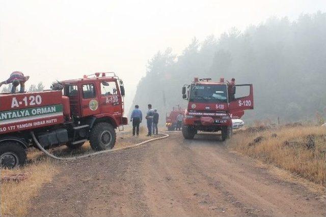 Antalya’da Mevsimin İlk Orman Yangını 1