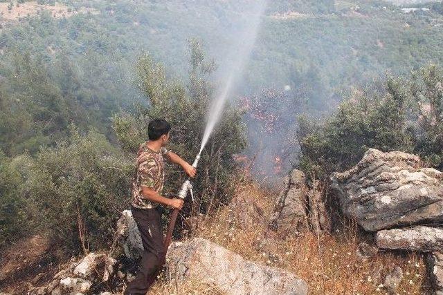 Antalya’da Mevsimin İlk Orman Yangını 2