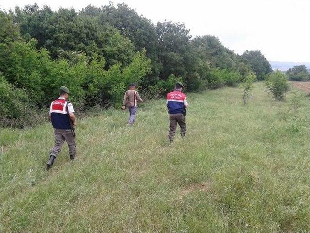 Tekirdağ&rsquo;da 11 Ke&ccedil;i Merada Zehirlenerek Telef Oldu 1