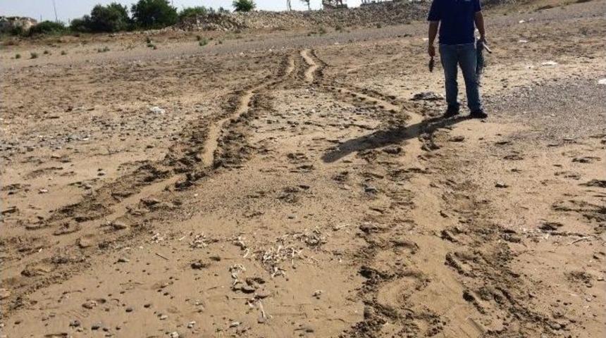 Caretta Caretta&rsquo;ların Eve D&ouml;n&uuml;ş&uuml;n&uuml;n Ayak İzleri