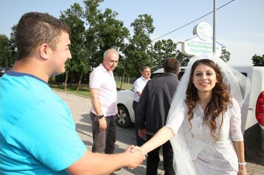 Hayvansever &Ccedil;ift Mutluluklarını İlk Sokak K&ouml;pekleriyle Paylaştı