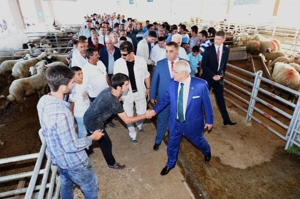 Tarsus&rsquo;a Modern Canlı Hayvan Ticaret Merkezi